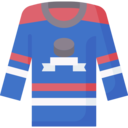 fashion,clothes,sports and competition,equipment,sports gear,hockey jersey
